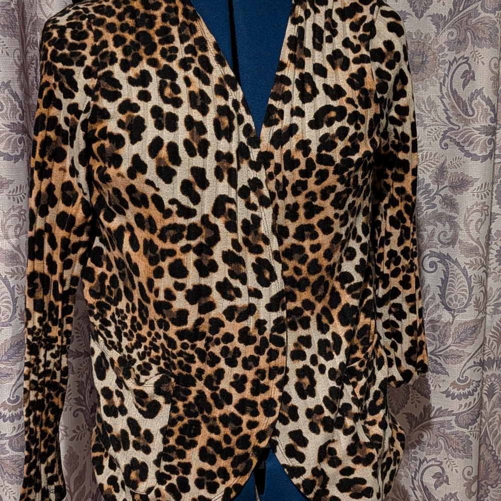 Absolutely Famous Animal Print Jacket